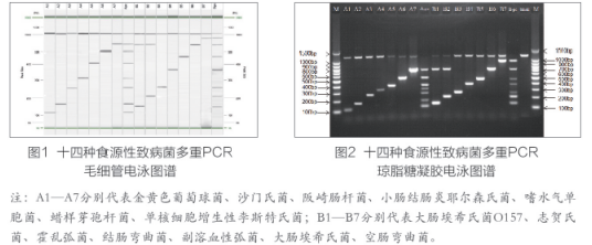 QQ截图20200731095741.png